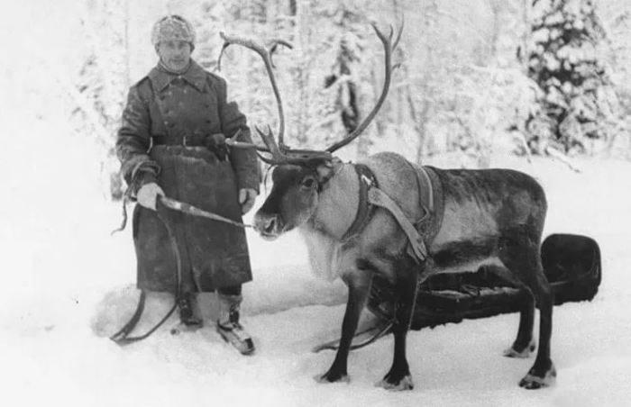 День памяти о подвиге бойцов оленетранспортных батальонов.
